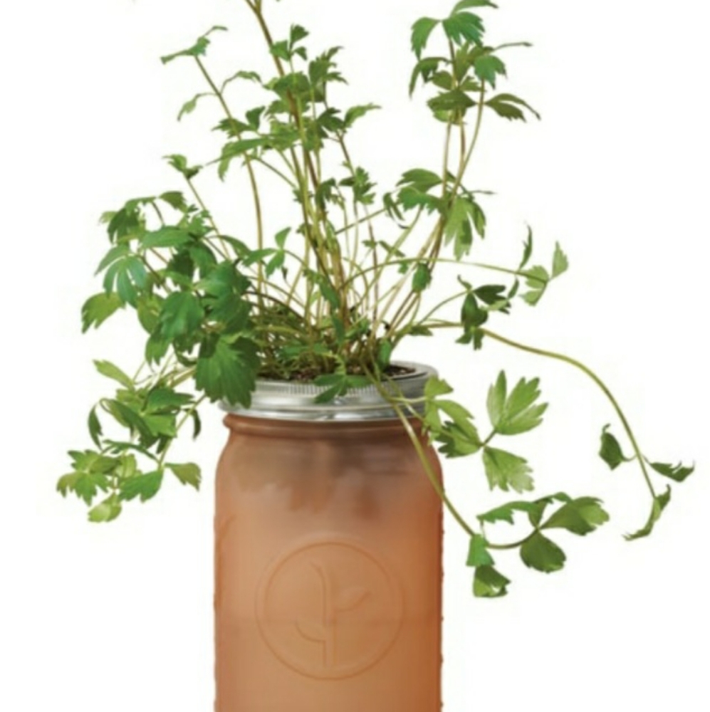 Modern Sprout Hydroponic Growing Kit- NWOT